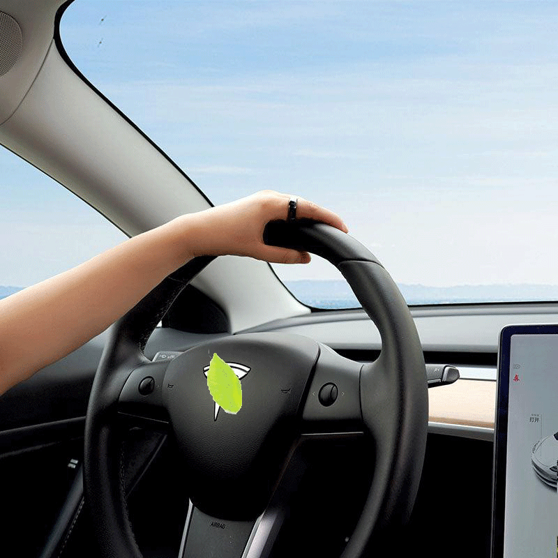 Sleutelhanger — Tesla Model 3 & Model Y — afbeelding 1