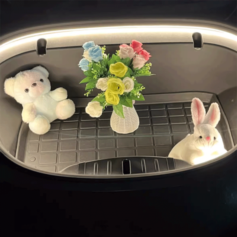 Sfeerverlichting — Tesla Model 3 & Model Y
