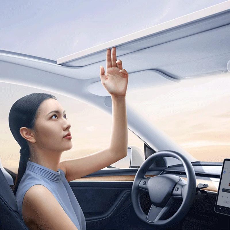 Dakzonnescherm — Tesla Model Y Juniper & Model Y