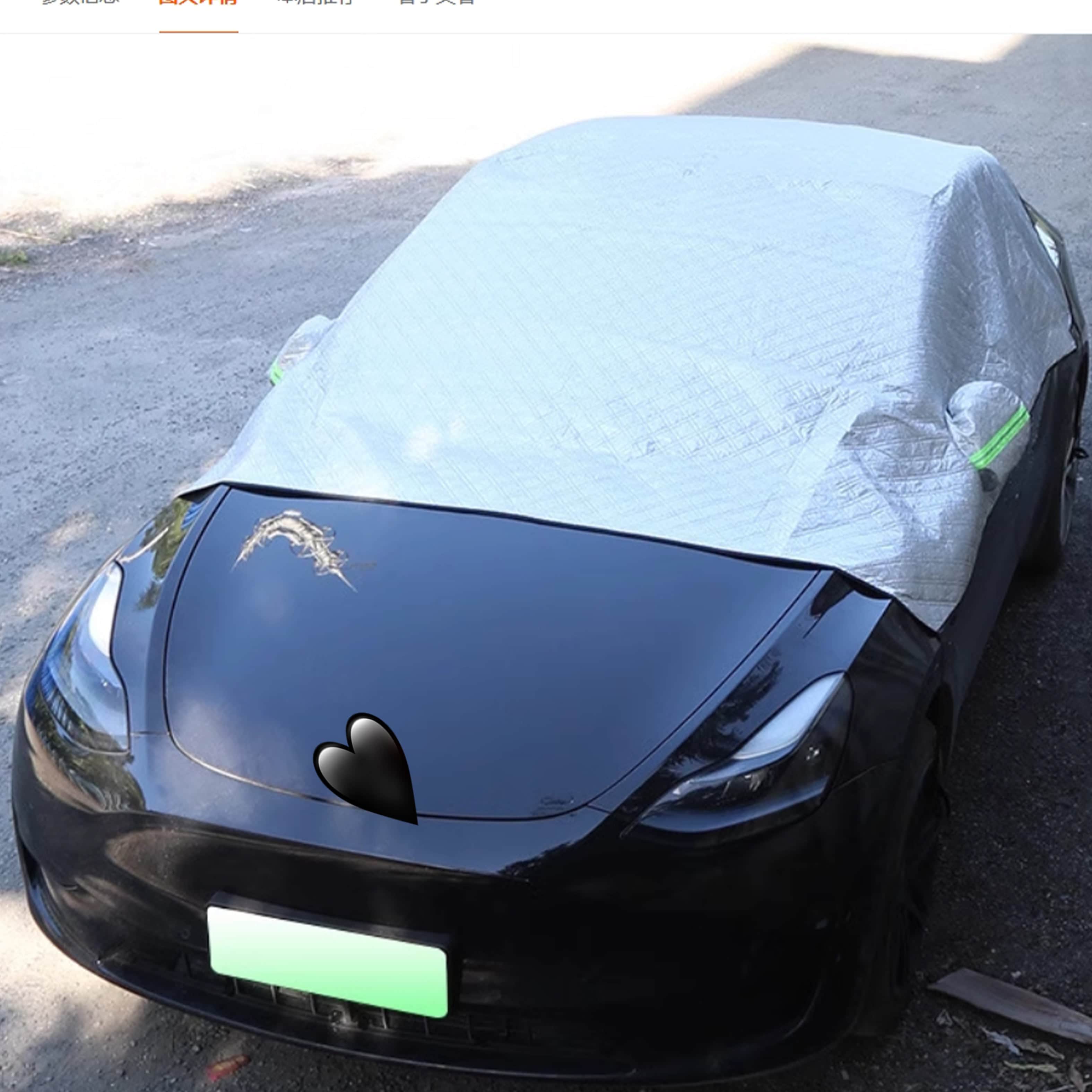 Raamzonnescherm — Tesla Model 3 Highland