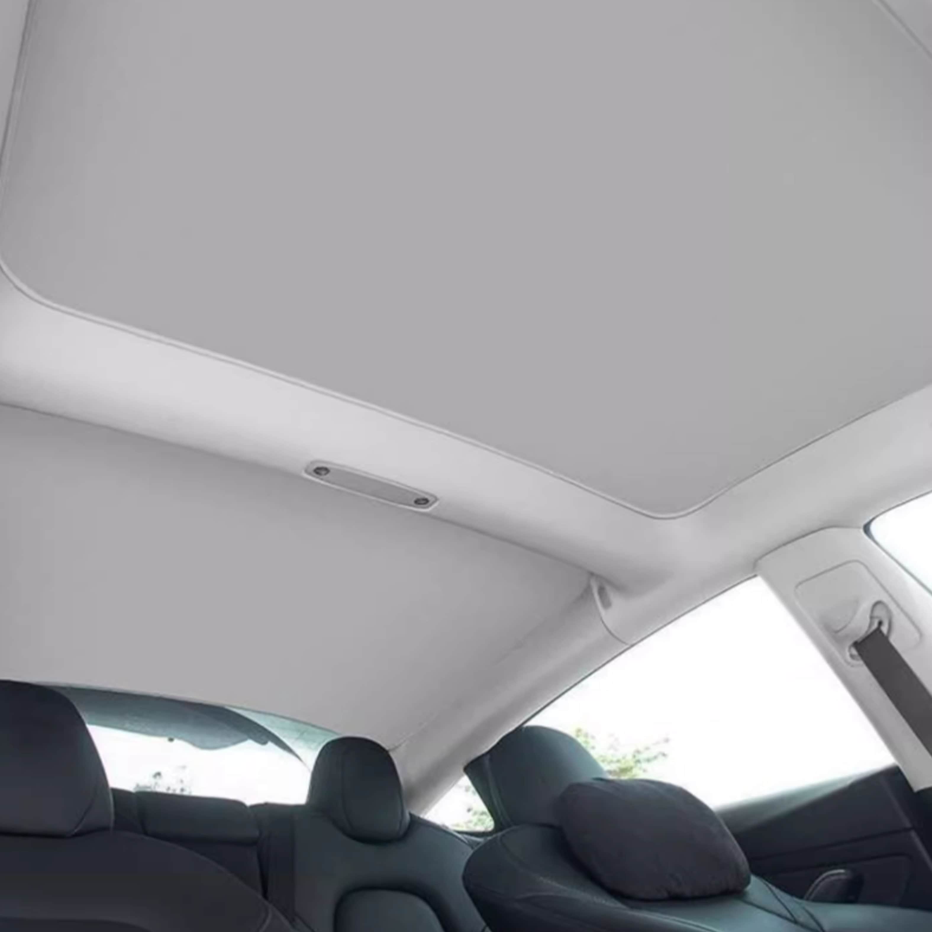 Dakzonnescherm — Tesla Model 3 Highland