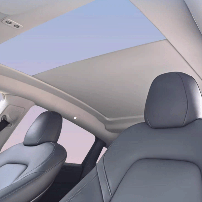 Sonnenschutz — Tesla Model Y