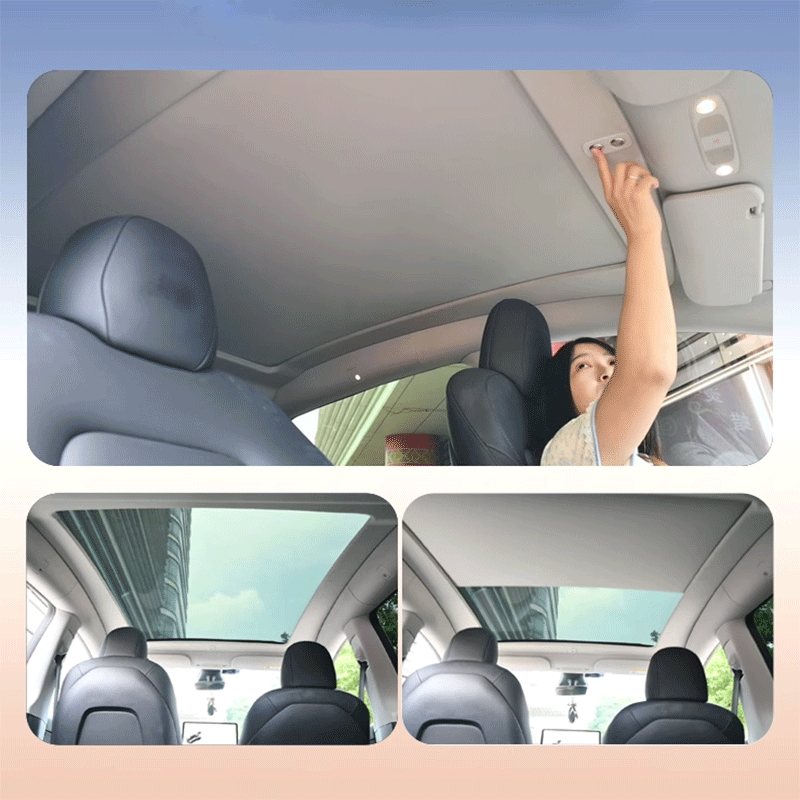 Zonnescherm — Tesla Model Y