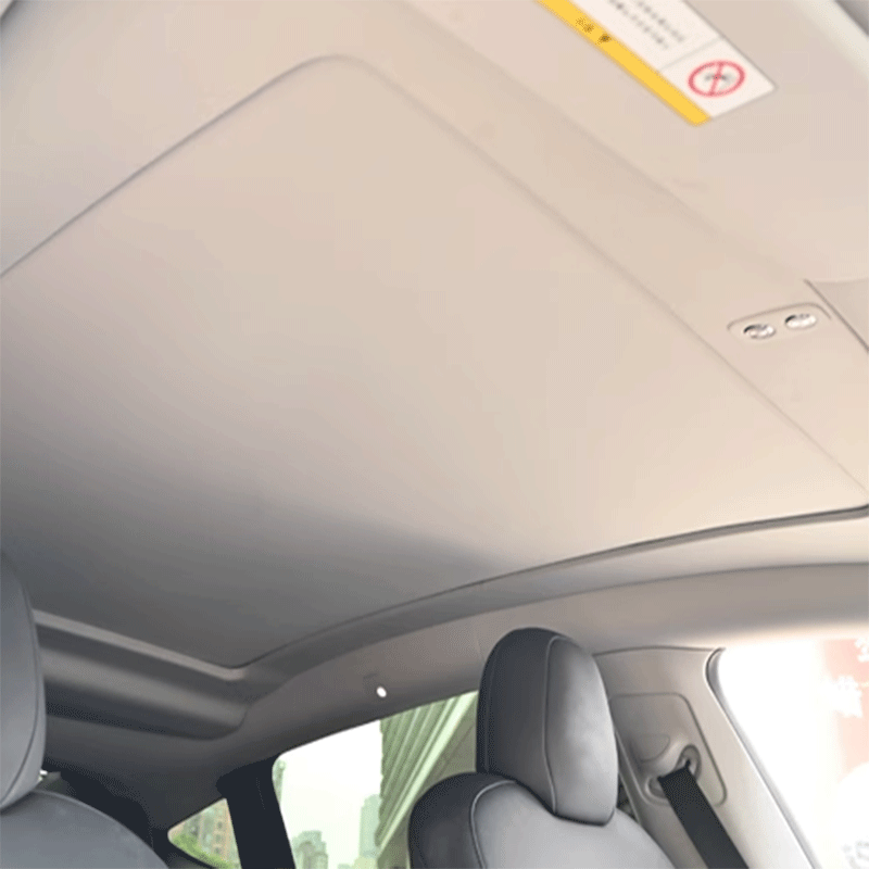 Sonnenschutz — Tesla Model Y
