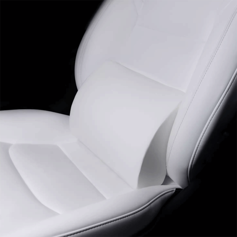 Lendenkussen — Tesla Model S