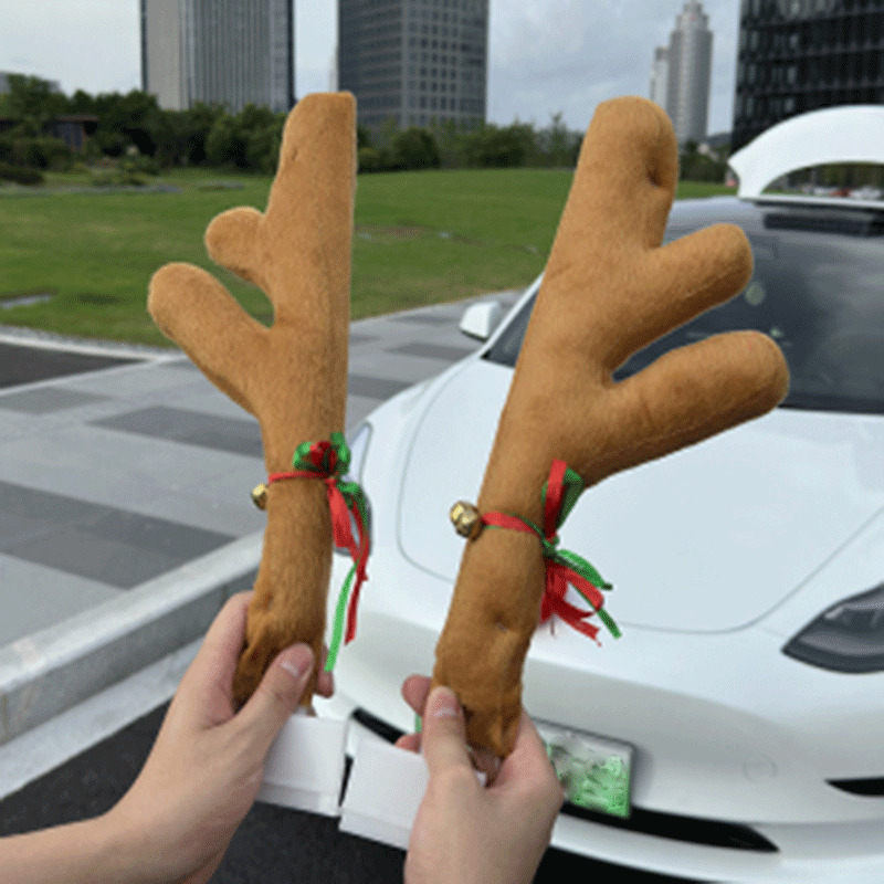 Interieurdecoratie — Tesla Cybertruck & Model S