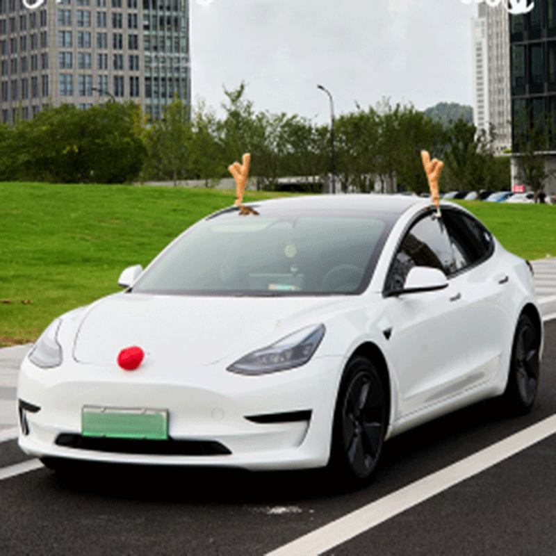 Interieurdecoratie — Tesla Cybertruck & Model S