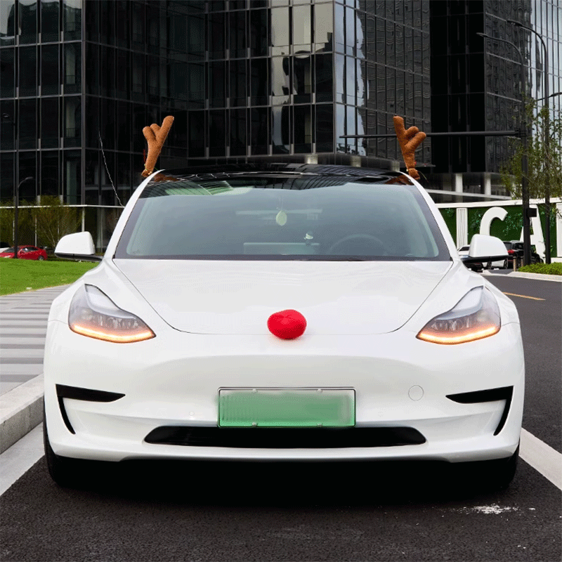 Interieurdecoratie — Tesla Cybertruck & Model S