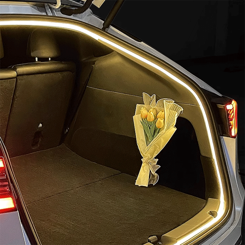 LED-verlichting — Tesla Model 3 & Model Y