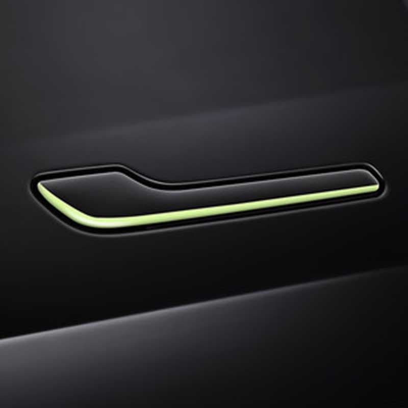 Deurgreepbescherming — Tesla Model 3 & Model Y — afbeelding 1